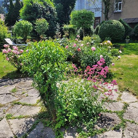 Apartamento Les Colibris - Standing Et Jardin - 3 Etoiles Cluses Exterior foto